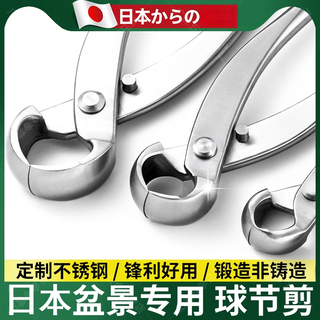 Hongzhijing selects japanese bonsai ball joint shears, ball shears, pruning shears, gardening tools, oblique fork branch shears, branch shears, leaf buds and tree tumor shears, chenggong medium stainless steel ball joint shears, card packaging