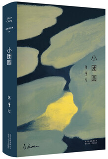 Little reunion novel