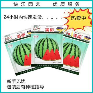 Meidu watermelon seeds with thin skin, crack-resistant, few seeds, super sweet and crispy 8424 round watermelon, meidu watermelon seeds, red letter meidu 400 capsules