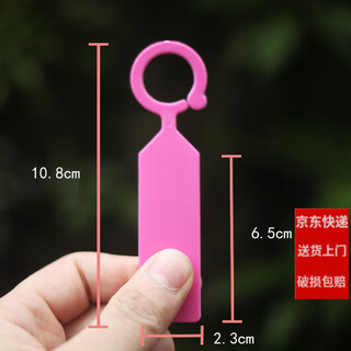 Shipton thickened ring buckle mark plate gardening small label identification flower brand succulent potted label green plant waterproof hanging tag h ring buckle label pink 100 sheets (free pen)