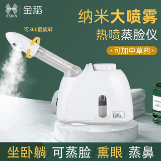 Riz doré vaporisateur chaud pour le visage - vapeur hydratant pour le visage - nano pulvérisateur - instrument de beauté du visage - humidificateur pour le visage - ouverture des pores - médecine traditionnelle chinoise - vapeur pour le visage - cadeau pour fille - pack d'additifs super rentables - huile essentielle - vapeur pour le visage - blanc