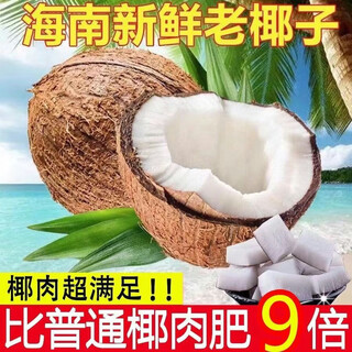 Fresh hainan old coconut hairy coconut, seasonal fruit for pregnant women, coconut treasure coconut, green coconut, white emperor specialty, 4 pieces, with hole opener + straw