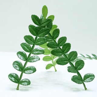 Fresh fragrant wood leaves cake decoration western food baked desserts milk tea drinks plate decoration flowers and pepper wood loss promotion activities fragrant wood 50 pieces