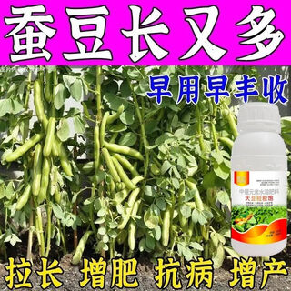 Special foliar fertilizer for broad beans to plump broad beans, keep flowers and pods straight and increase production, 100ml*1 bottle