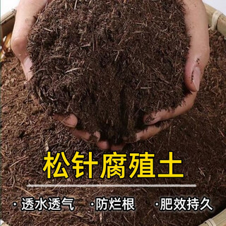 春强农业松针腐殖土松软透气沥水保湿无菌发酵松针土通用型酸性有机营养士 发酵松针土10斤【无虫无味】