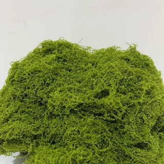 Simulated filamentous moss green micro landscape layout fake lawn fish tank landscaping rockery stone bonsai landscaping pavement light yellow green 70g free 40g