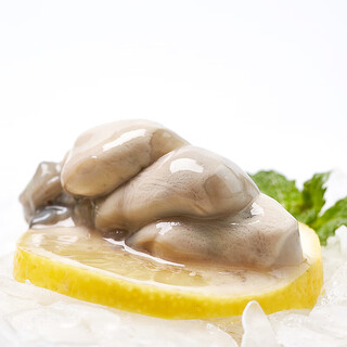 Chilled oyster meat 200g/can