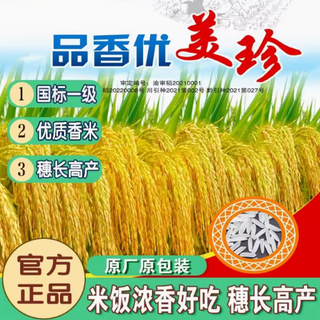 High-yield first-grade fragrant rice rice seeds, fragrant and elegant, hybrid rice, disease-resistant and lodging-resistant fragrant rice, long-grain rice, large ear length/intense ears/first-grade fragrant rice 1 bag 1jin jin is equal to 0.5 kg