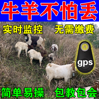 Cattle and sheep locator gps tracker rainproof no need to charge mountainous beidou animal anti-lost tracking locator 1 pack accurate locator