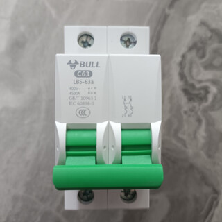 公牛家用二相漏电保护器窄体空调电闸刀空气开关插座配电箱保护器 白色2P 63A