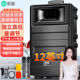 索爱（soaiy）12吋广场舞音响大功率便携式户外重低音蓝牙k歌专用大音量移动拉杆音箱室外演出设备双话筒T20