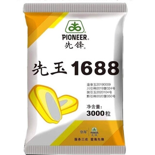ROTAM先玉1688玉米种子抗病抗虫 3000粒*1包