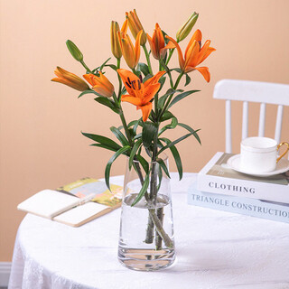 Pepsi desire asia lily orange multi-head 3 branches