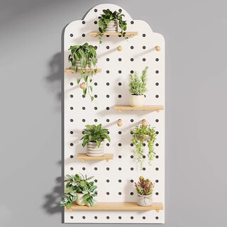 Aomingyuan hole board storage rack green plant wall solid wood upper wall succulent storage rack custom balcony space utilization artifact combination package 60*120 warm white clouds