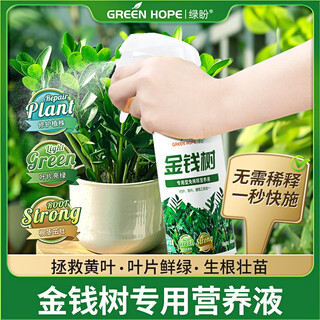 Greenpan dilution-free money tree nutrient solution special fertilizer for yellowing leaves and falling leaves green plant potted concentrated spray
