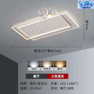 永智2024农村客厅大灯吸顶大气主灯全屋套装灯具高端智能轻奢套餐组合 客厅款-三色变光