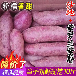 Zuoge sandy purple sweet potato 10 jin jin is equal to 0.5 kg fresh violet purple sweet potato sweet potato roasted sweet potato farm fresh self-grown and digging selected 9-10 jin jin is equal to 0.5 kg fresh purple sweet potato in box