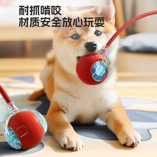 Hellojoy dog toy bite-resistant ball, automatic dog amusing artifact, self-pleasure and boredom relief pet electric puppy smart elastic dog walking ball
