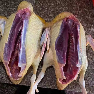 Whole wild goose, freshly slaughtered wild goose, whole goose and goose meat, farm-raised free-range, damaged single package, food (incubator), free-range, freshly killed - free material package, 4 jin jin after slaughter is equal to 0.5 kg, net weight (early taste)