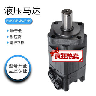 Hydraulic motor bms/bm5 low speed and high torque bmsy 80 100 125 160 200 250 315 40 bmsy (bms) 315