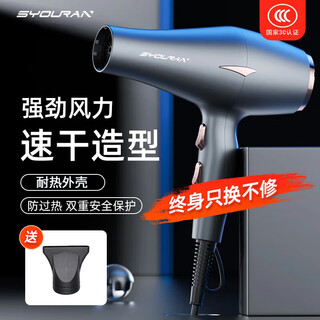 Syouran german hair dryer home quiet bass negative ion high power does not hurt hair salon barber shop men's hair dryer high wind blowing hair home hair care quick dry silver gray (13000 home high wind)