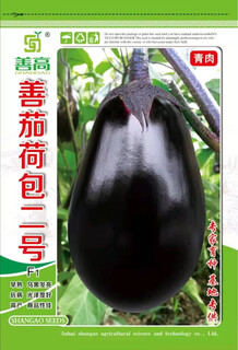 Shanqie purse no. 2 hybrid eggplant seeds, extremely early maturing, purple-black, round, large, green-fleshed, disease-resistant, high-yielding, field use, original 200 capsules