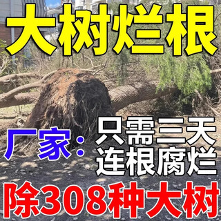 Huantai copper big tree bamboo root rot agent sweeps away the rotten roots of trees without growing grass for three years. powerful tree-killing powder and weed-killing magic tool. five barrels. buy 3 and get 2 free. the dead trees will not turn back to green.