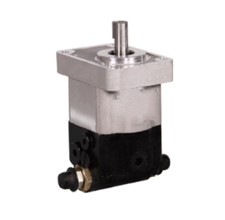 Paulkey hydraulic gear oil pump small hydraulic pump cbwsv-f308-alp