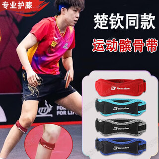 Zhizhou wang chuqin's same style patellar belt protective belt sports knee pads fixed badminton men's basketball women's table tennis big ab013-(one size fits all lake blue single) one size