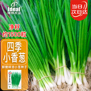 Ldeal ideal agriculture four-season shallot seeds balcony potted vegetable seeds shallot seeds about 1500 capsules