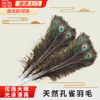 Sanazhixun peacock feather ornaments vase feathers natural peacock tail feathers diy decorations living room vase ornaments peacock feathers (70-80cm 6 pieces)