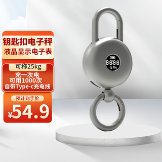 One after another portable keychain electronic scale mini portable scale 25kg high-precision food shopping scale fishing scale home express silver