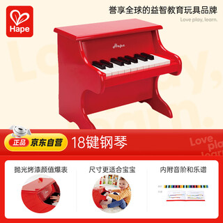 Hape早教音乐玩具启蒙木质生日礼物家用初学入门18键钢琴E0318