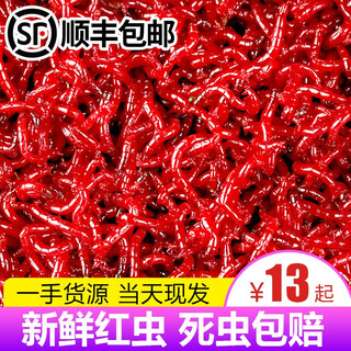 Mengda fresh red worm male live bait feeding fish bait pulling bait crucian carp wild fishing bait fishing bait wild fishing black pit sf small male worm 50g (clean and fresh)