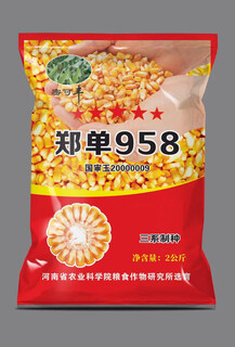 Высокоурожайные семена кукурузы zhengdan 958, одобренные на национальном уровне zhengdan 958 daquan, большая палочка, белый вал, устойчивость к полеганию и засухоустойчивость, карликовые прицветники, Академия сельскохозяйственных наук mixifeng zhengdan 958 4jin jin соответствует 0,5 кг 1 мешок
