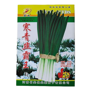Chives, cold green chives, leek seeds, spring sowing and autumn sowing, suitable for outdoor greenhouses, non-dormant field leek seeds, cold green leek seeds, 250g, six bags