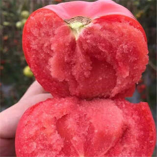 Super sweet tomato seeds, wooly pink persimmons, farmhouse extra large tomato seeds, balcony potted four-season vegetable seeds, large pink tomato seeds, original bag