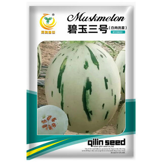 Fengming yashi chinese vegetable melon seeds, horn honey seeds, green-skinned melon seeds, fruit seeds, thin-skinned melon seeds, melon seeds, jasper no. 3 melon seeds, 30 capsules