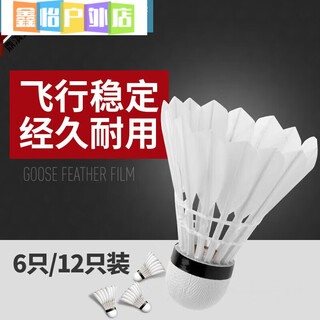 智宙羽毛球12只装耐打王打不烂鹅毛6室外比赛防风训练用球 6只装 1筒 家庭装耐打 白鹅毛球