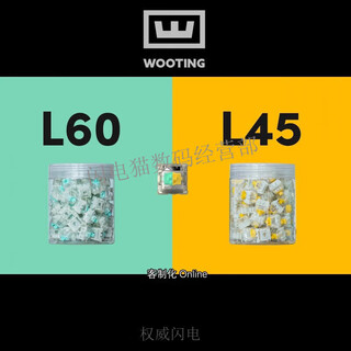 通用Wooting 磁轴 60HE 键盘 Lekker 线性 L45 L60 国内现货 Osu 注意：磁轴不兼容常规的机械键盘