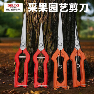 Delixi scissors, fruit shears, gardening pruning shears, fruit and vegetable shears, pepper picking, fruit and vegetable picking tools, fruit branch scissors, delixi 905 straight head fruit shears (205mm)