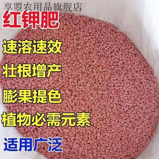 Potassium fertilizer wholesale russian imported high potassium high efficiency fertilizer general instant fertilizer for agricultural flowers, fruit trees and vegetables red granular potassium fertilizer 100jin jin equals 0.5kg packed russian imported red potassium (subcontracted)