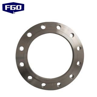 Fgo stainless steel flange 316l flat welding flange forged raised panel type rf pn16 1 piece 1.6mpa dn250 bxgfl