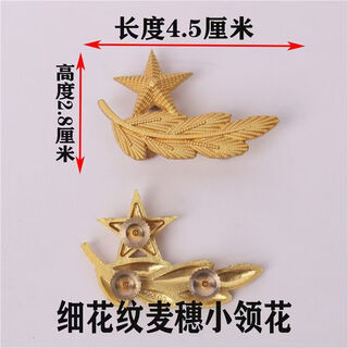 Stage performance olive branch collar accessories, performance clothing decorations, pine leaf collar pin, screw collar flower, outdoor golden fine-grained large collar, one pair