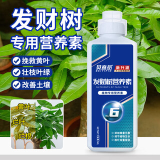 Beiyipin fortune tree special nutrient solution leaves yellow and fallen leaves hydroponic plants flowers potted green plants universal flower fertilizer