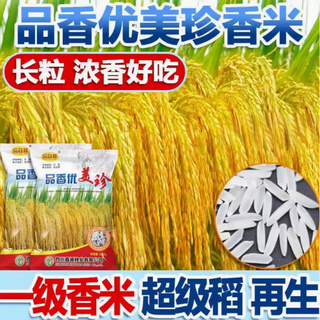 High-yield first-grade fragrant rice rice seed pinxiang youzhen hybrid rice disease-resistant and lodging-resistant fragrant rice long-grain rice pinxiang youzhen 1 jin jin is equal to 0.5 kg + package insecticide + sterilization + bird repellent