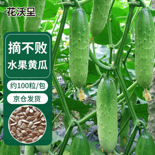 Huawoli fruit cucumber seed picking undefeated cucumber 100 vegetable seeds cucumber balcony potted soil garden rapeseed