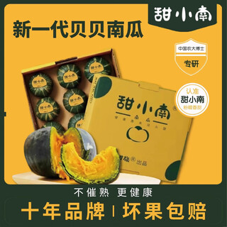 Tianxiaonan hot selling 100w+ shanxi authentic beibei pumpkin chestnut flavor small pumpkin beibei baby food complementary sweet tasting pack (2-3 pieces) net weight 1 jin jin is equal to 0.5 kg