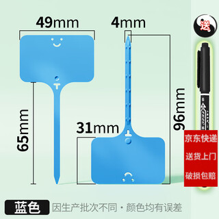 西普顿苗木花盆塑料多肉标签花卉园艺插地牌盆栽植物名字标牌防水小插牌 天蓝100个（9.6cm）