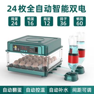 Egg incubator rutin chicken chick incubator small household intelligent incubator water bed parrot fully automatic incubator 24 pieces fully automatic dual electricity (automatic water supply)